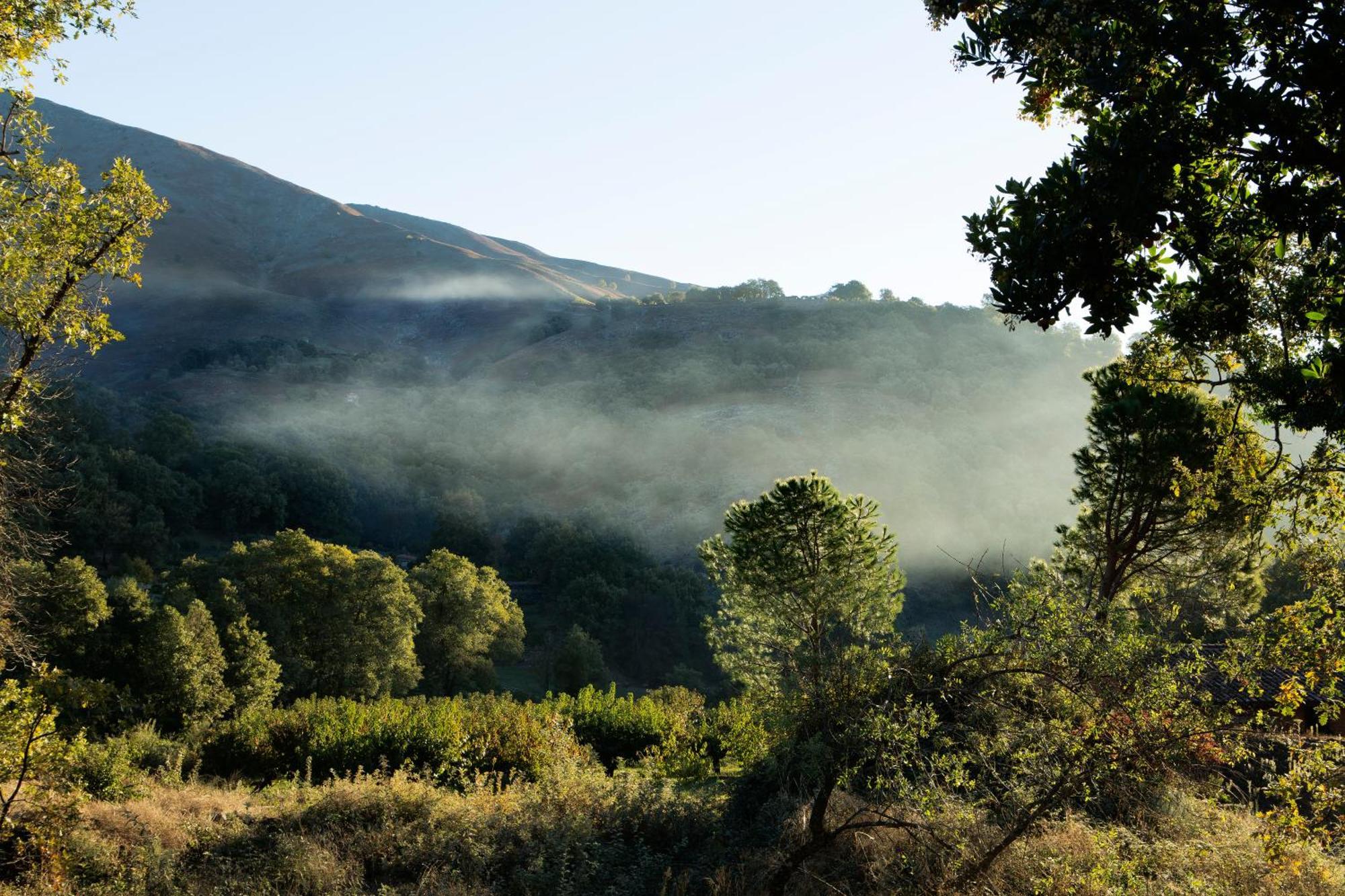 Abejas 1 De El Vergel De Chilla Candeleda Εξωτερικό φωτογραφία