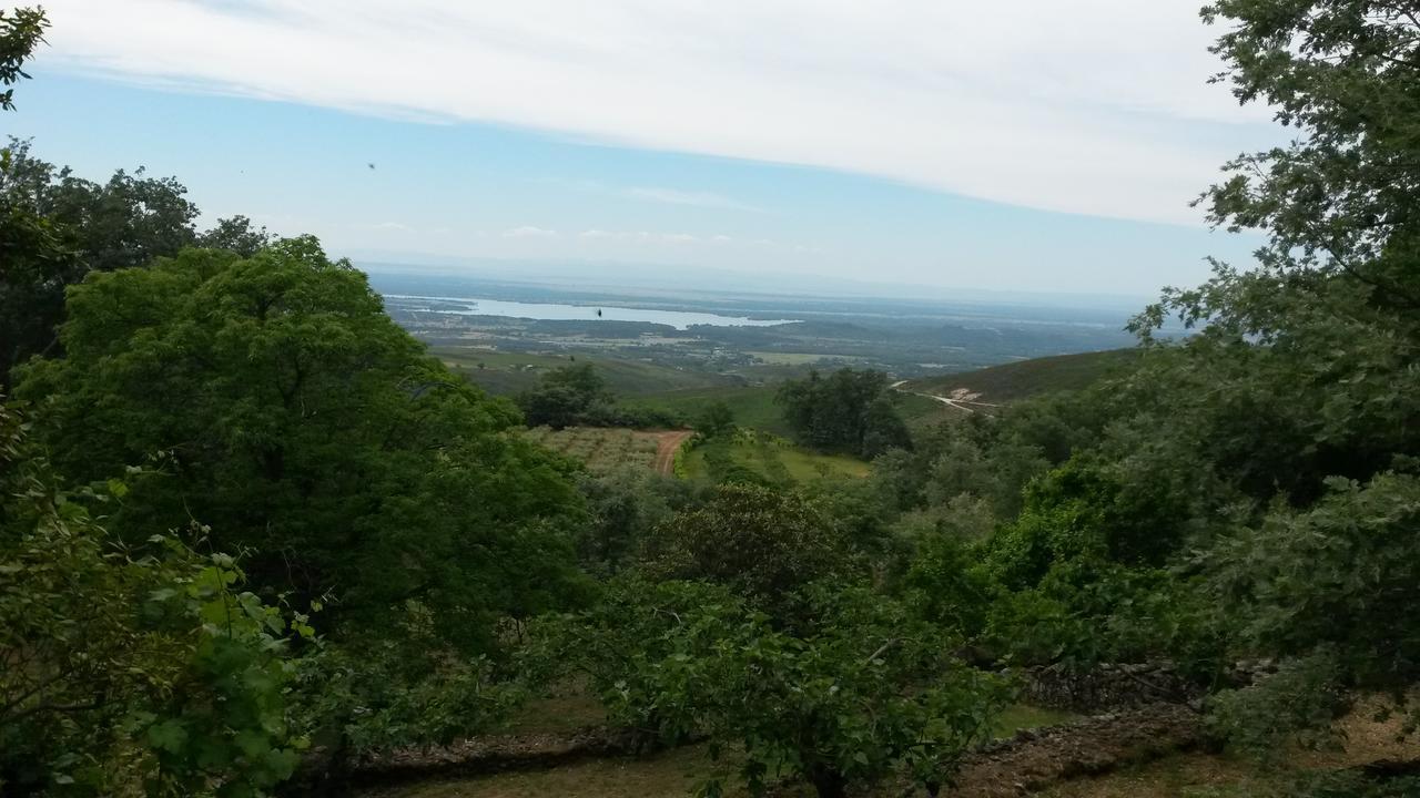 Abejas 1 De El Vergel De Chilla Candeleda Εξωτερικό φωτογραφία