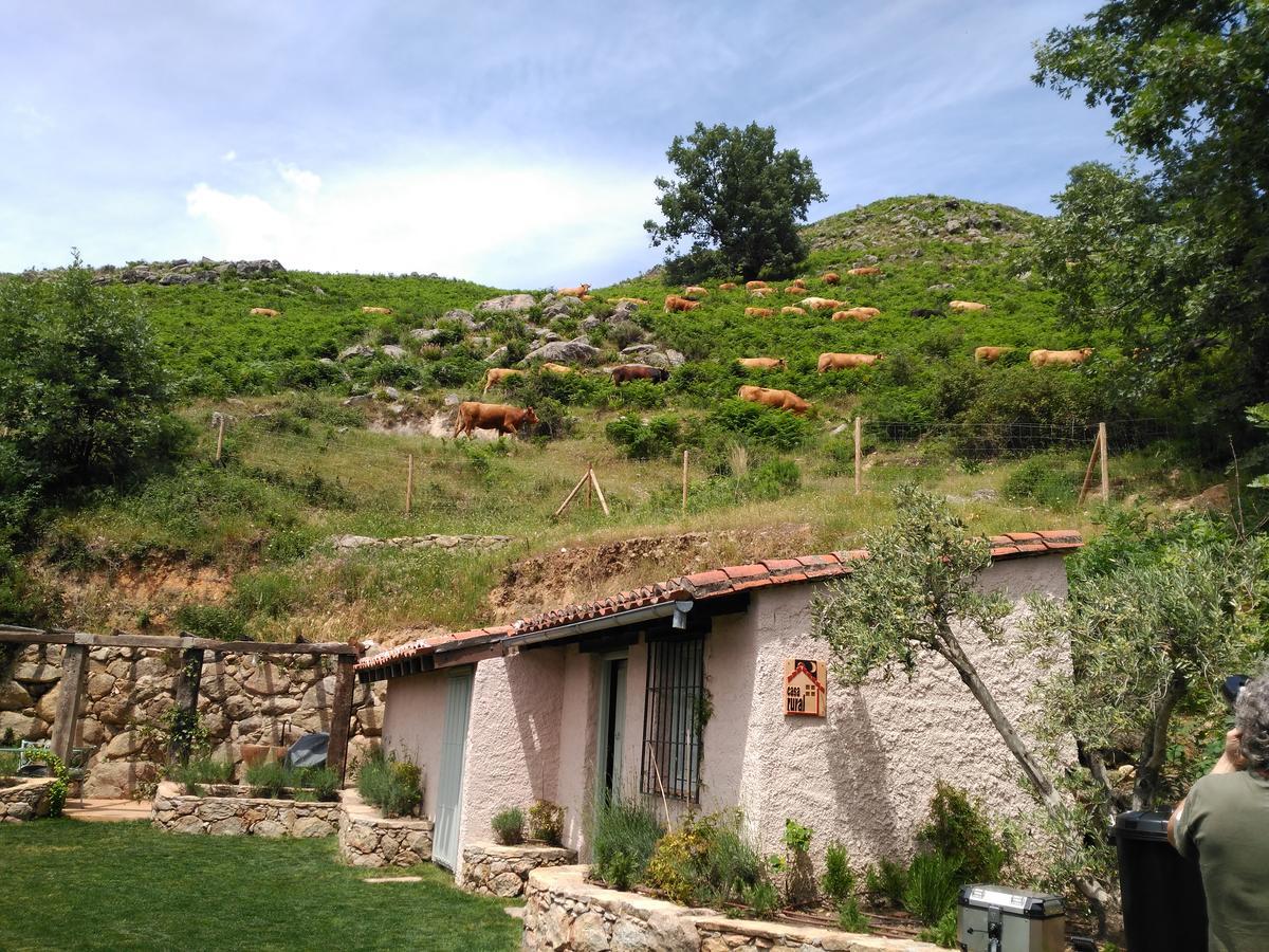 Abejas 1 De El Vergel De Chilla Candeleda Εξωτερικό φωτογραφία